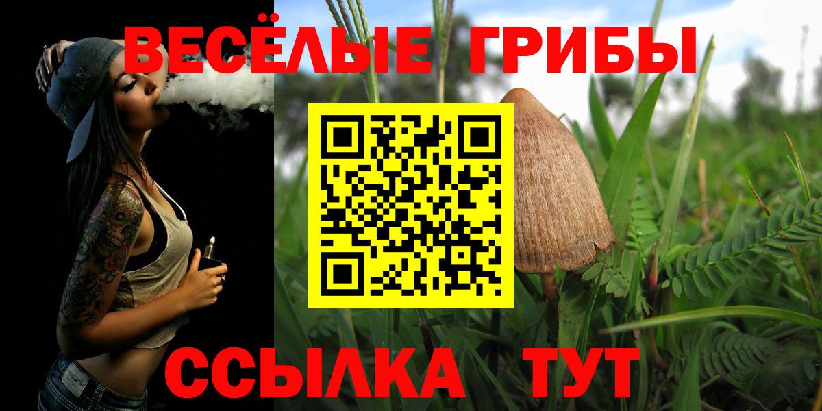 Тула  Галлюциногенные грибы Magic Shrooms  Вход с VPN 